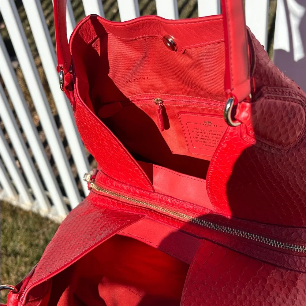 Coach edie python