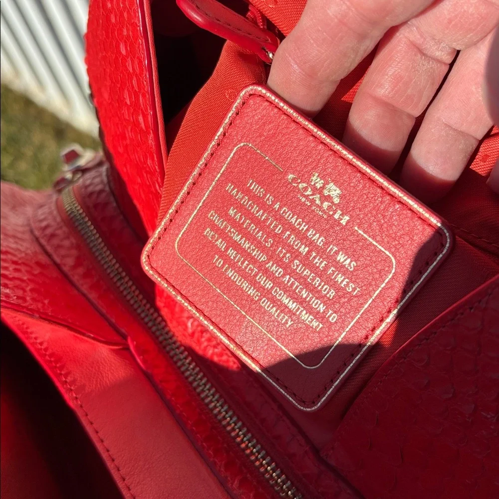 Coach edie python