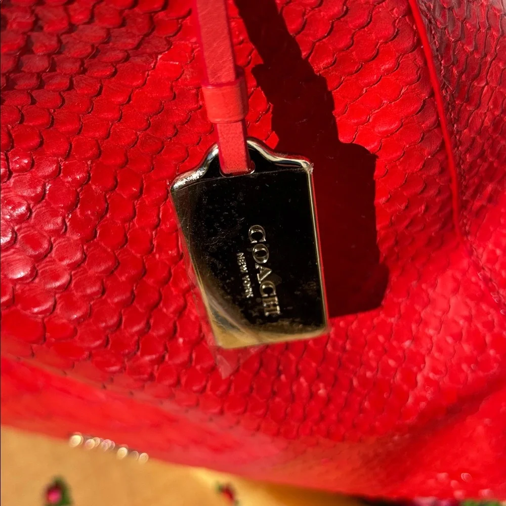 Coach edie python