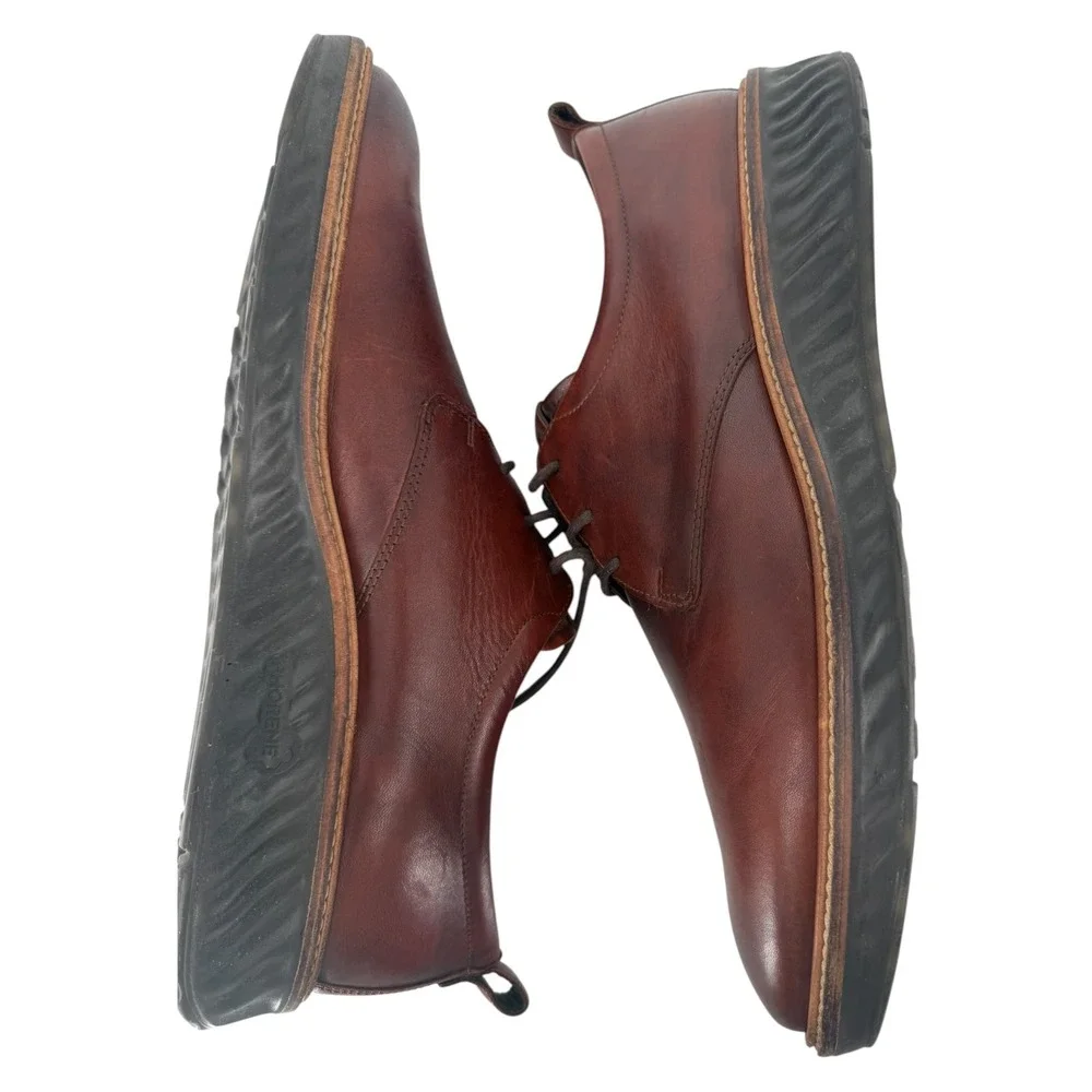 Ecco mens st