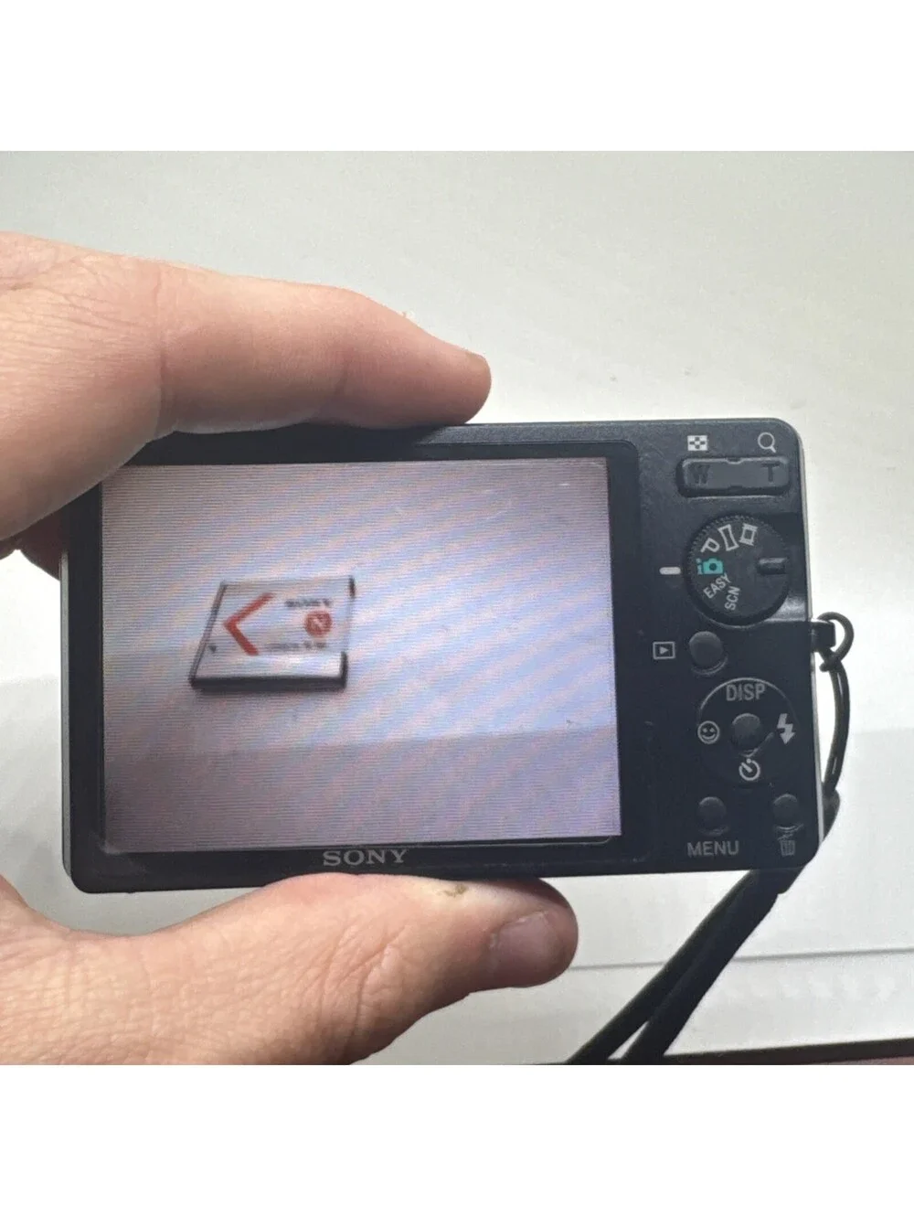 Sony sd battery