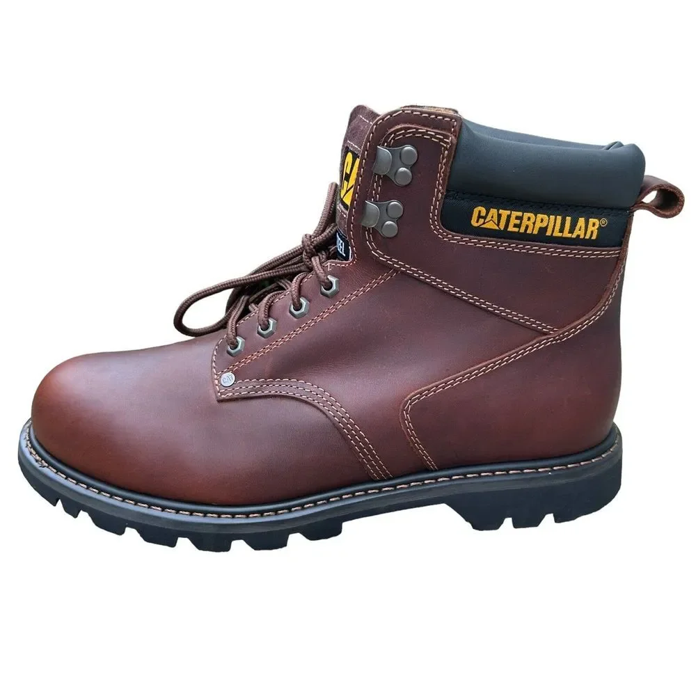 Cato men caterpillar