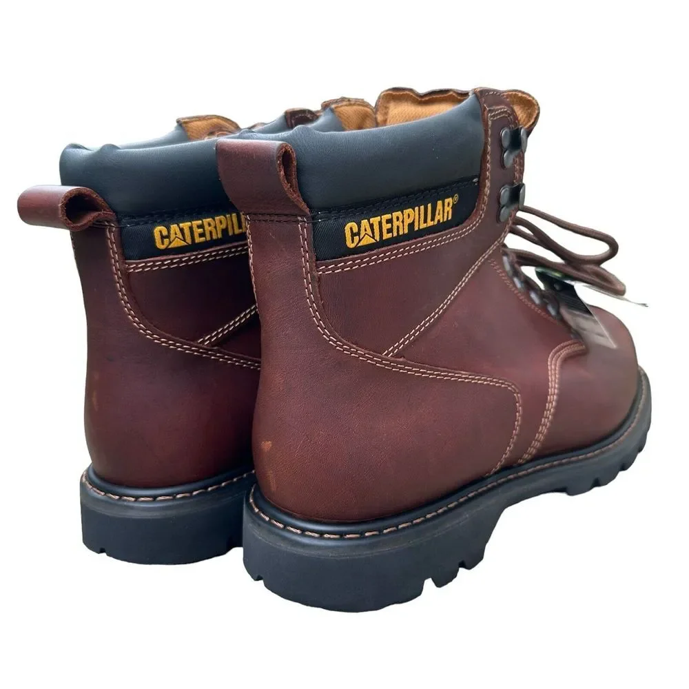 Cato men caterpillar