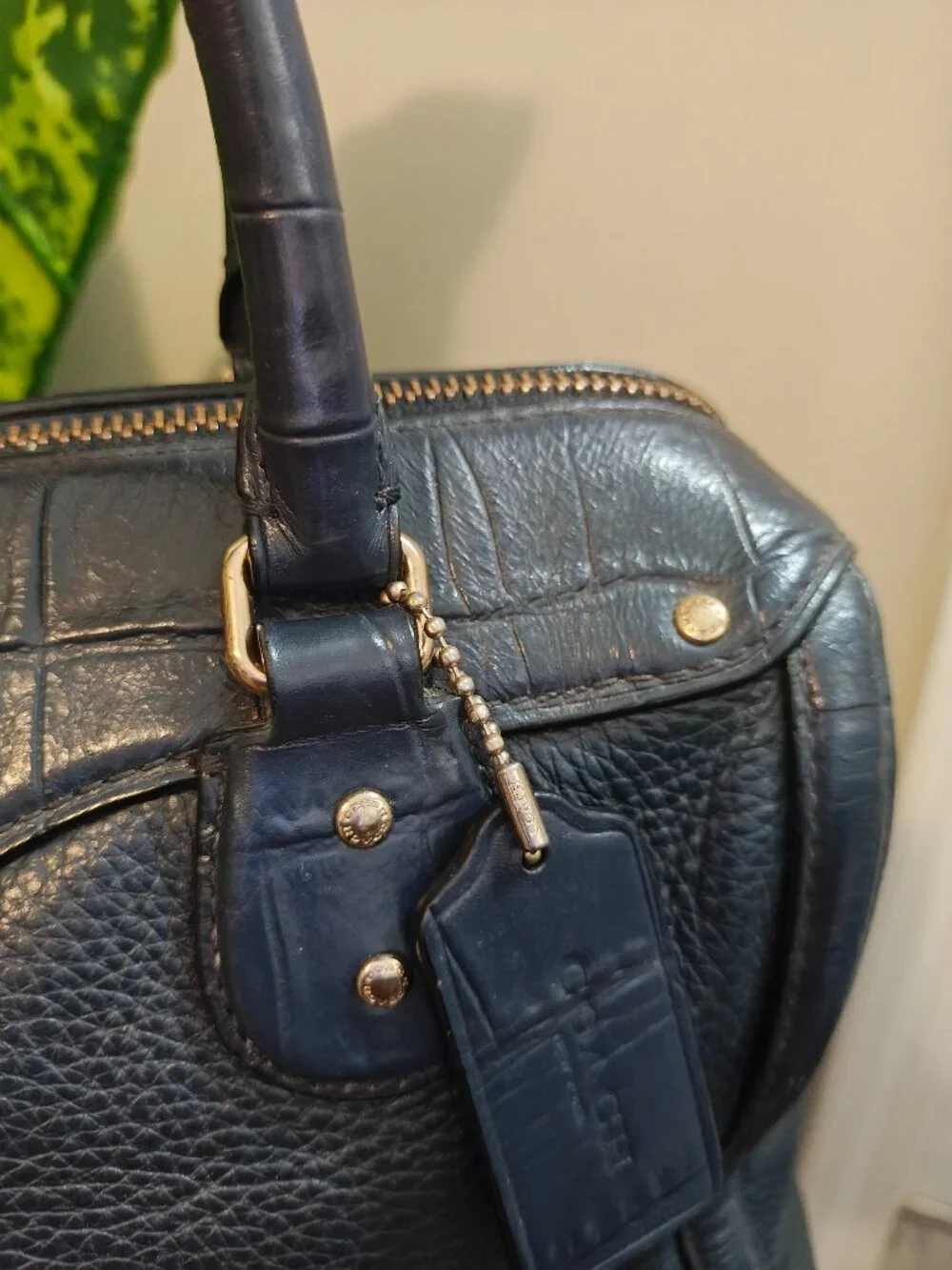 Coach classic versatile