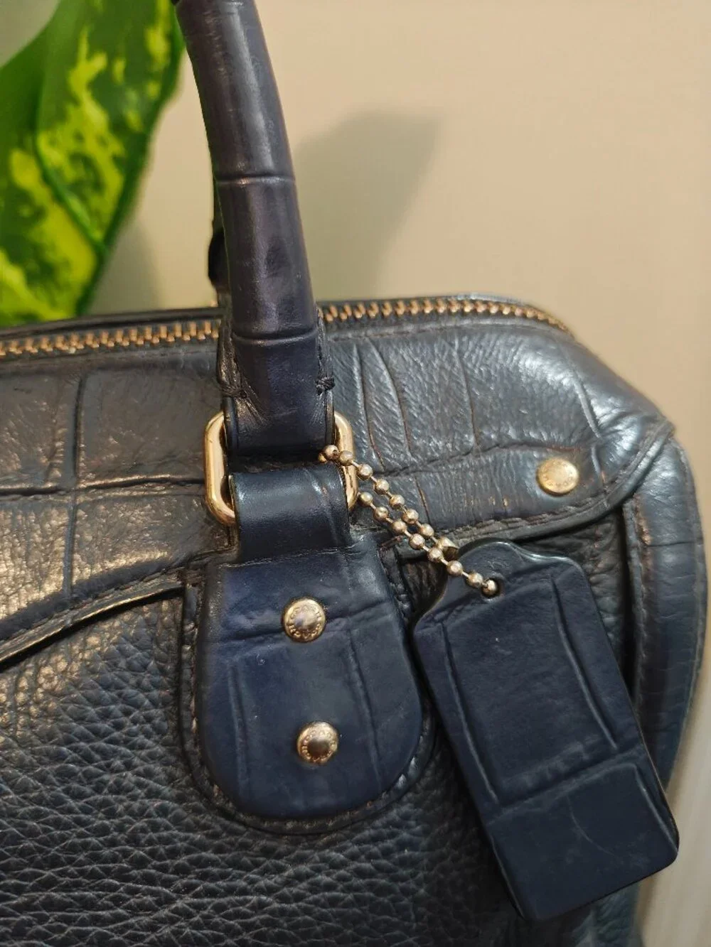 Coach classic versatile