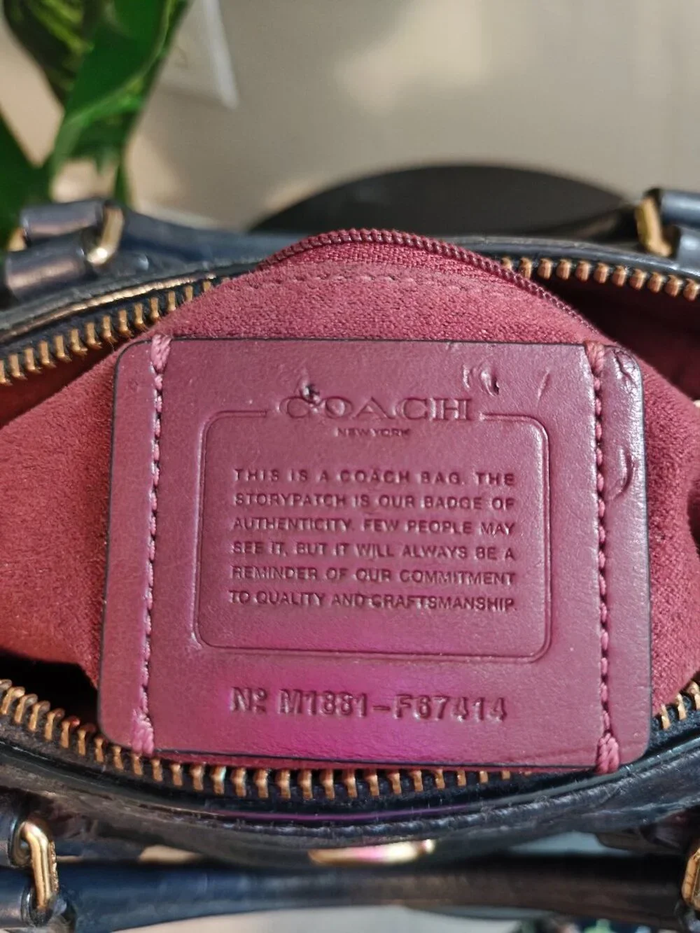 Coach classic versatile