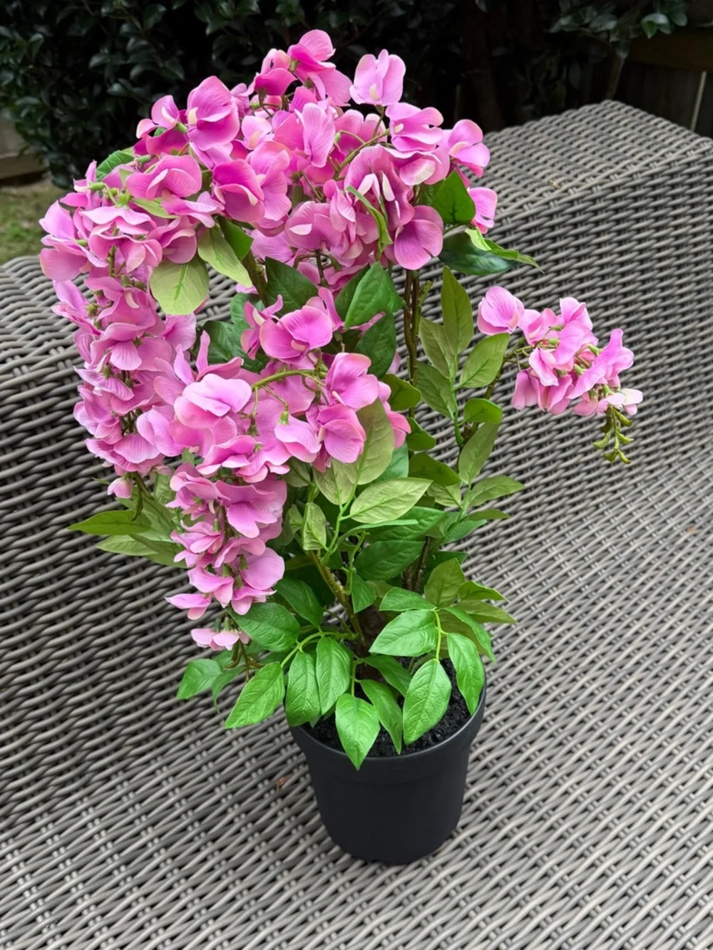 N/A vibrant pink