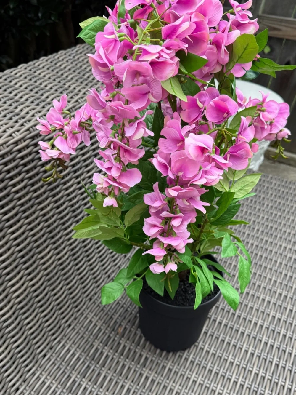 N/A vibrant pink