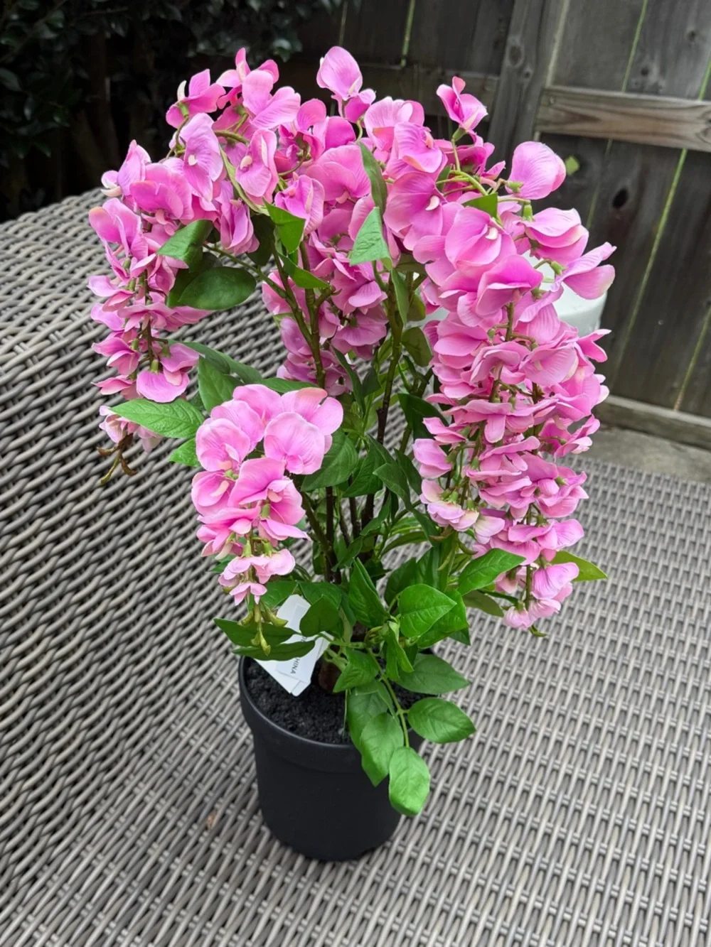 N/A vibrant pink