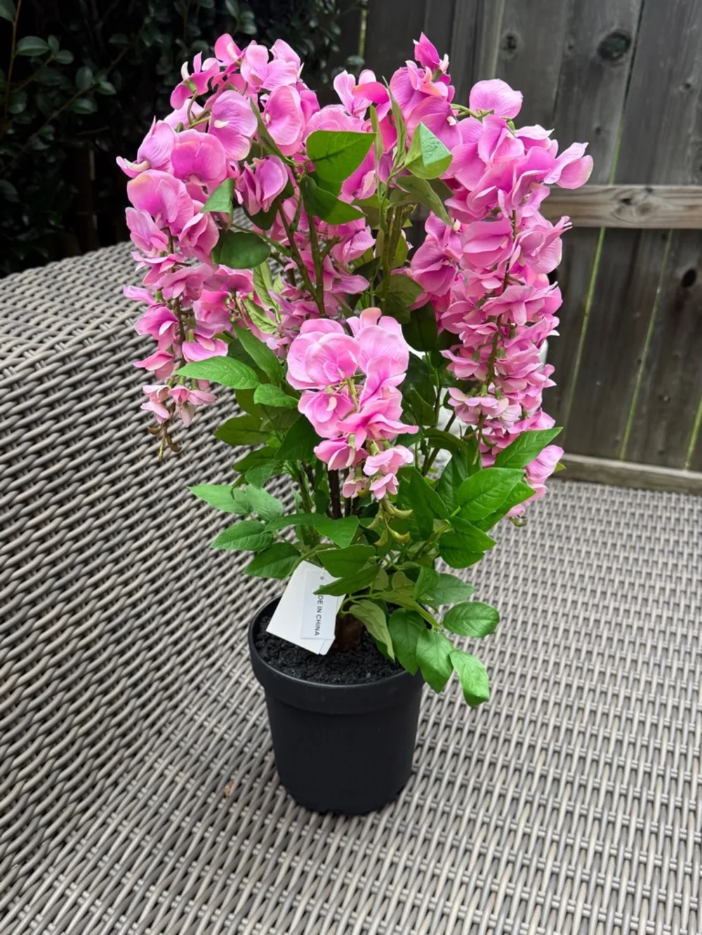 N/A vibrant pink