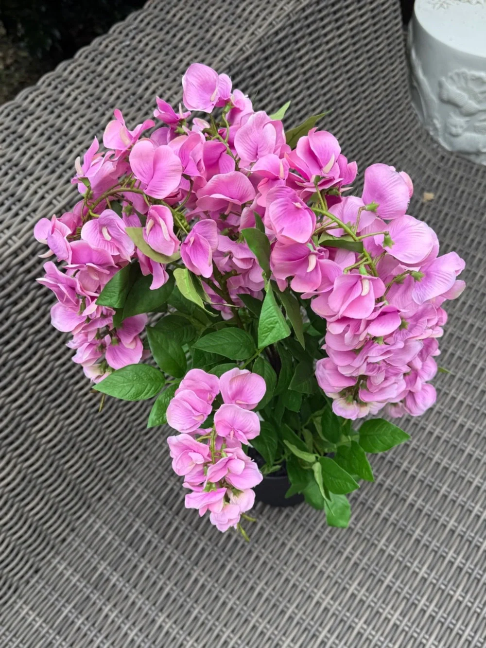 N/A vibrant pink