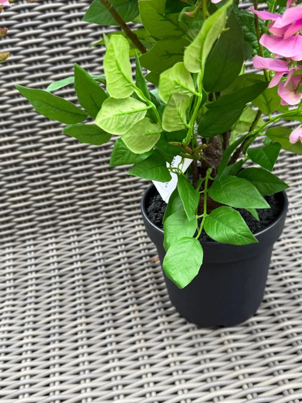 N/A vibrant pink