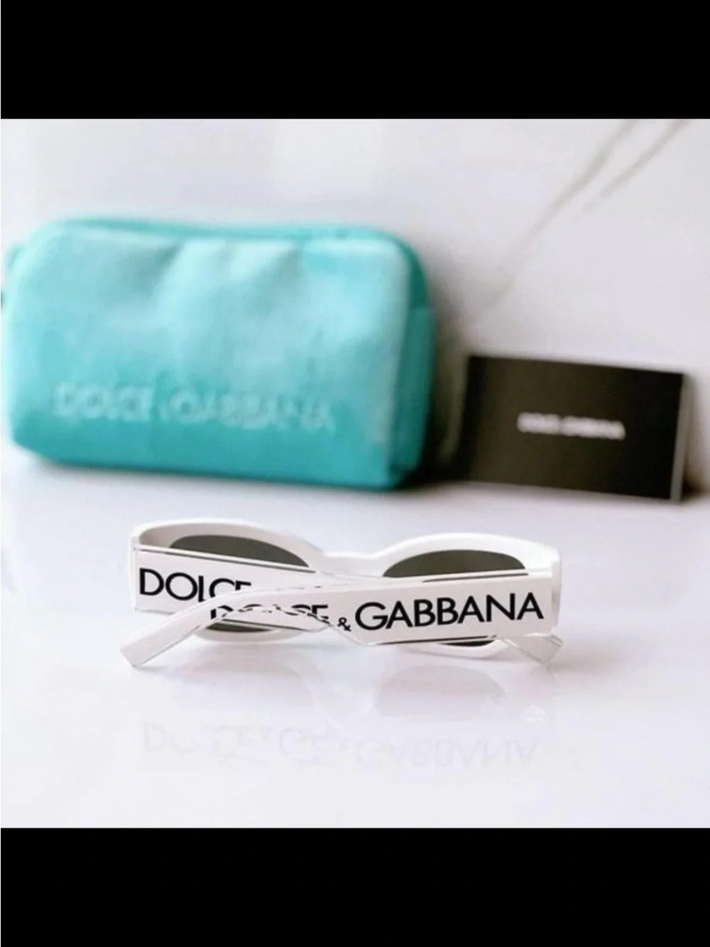 Dolce & Gabbana sleek cat