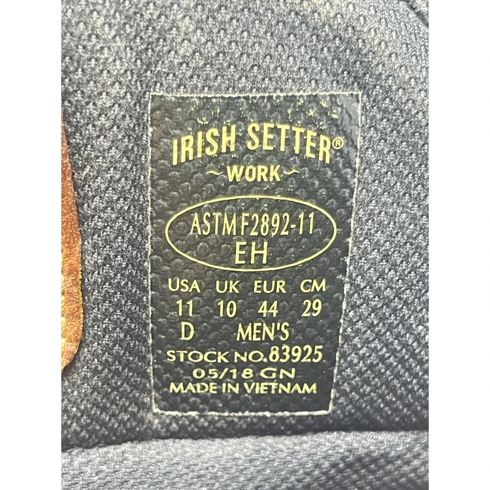 Irish Setter irish setter