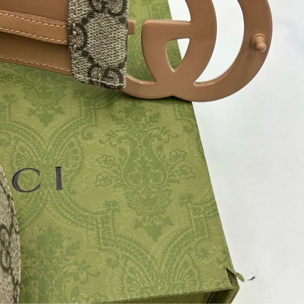 Gucci absolute brand