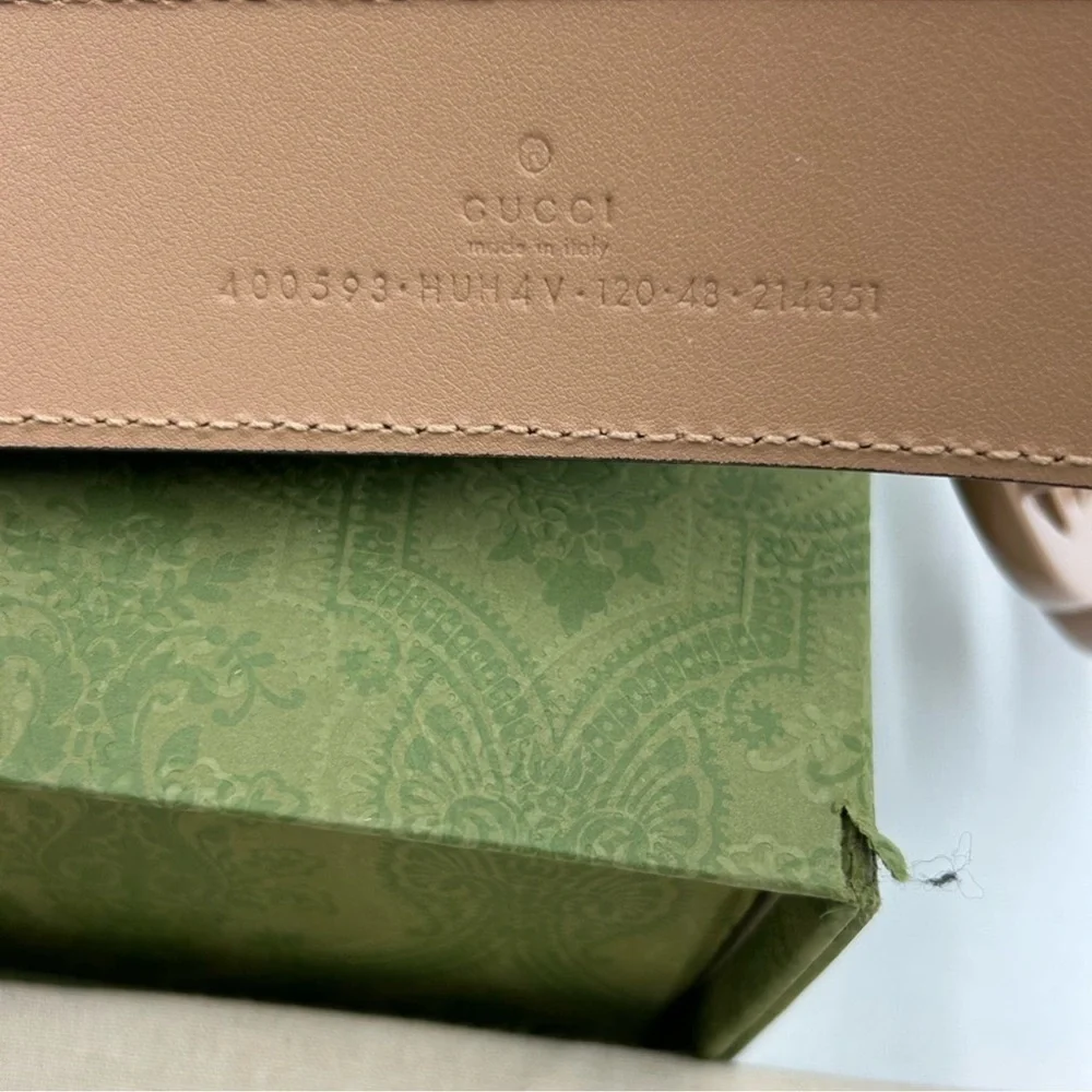 Gucci absolute brand