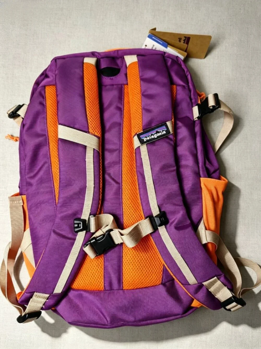 Patagonia lightweight daypack