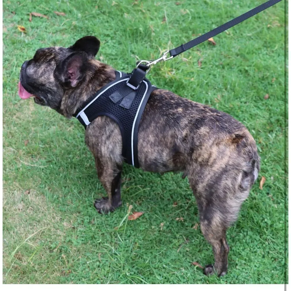 N/A dog harness