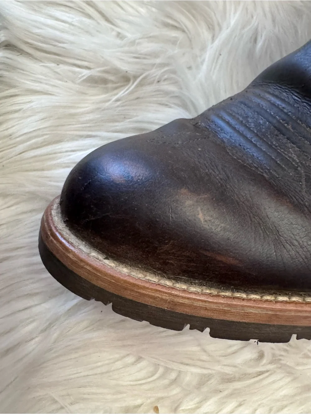Ariat scratching boots