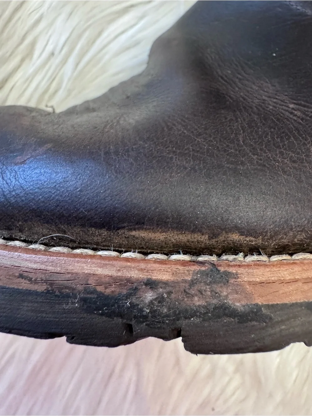 Ariat be inside
