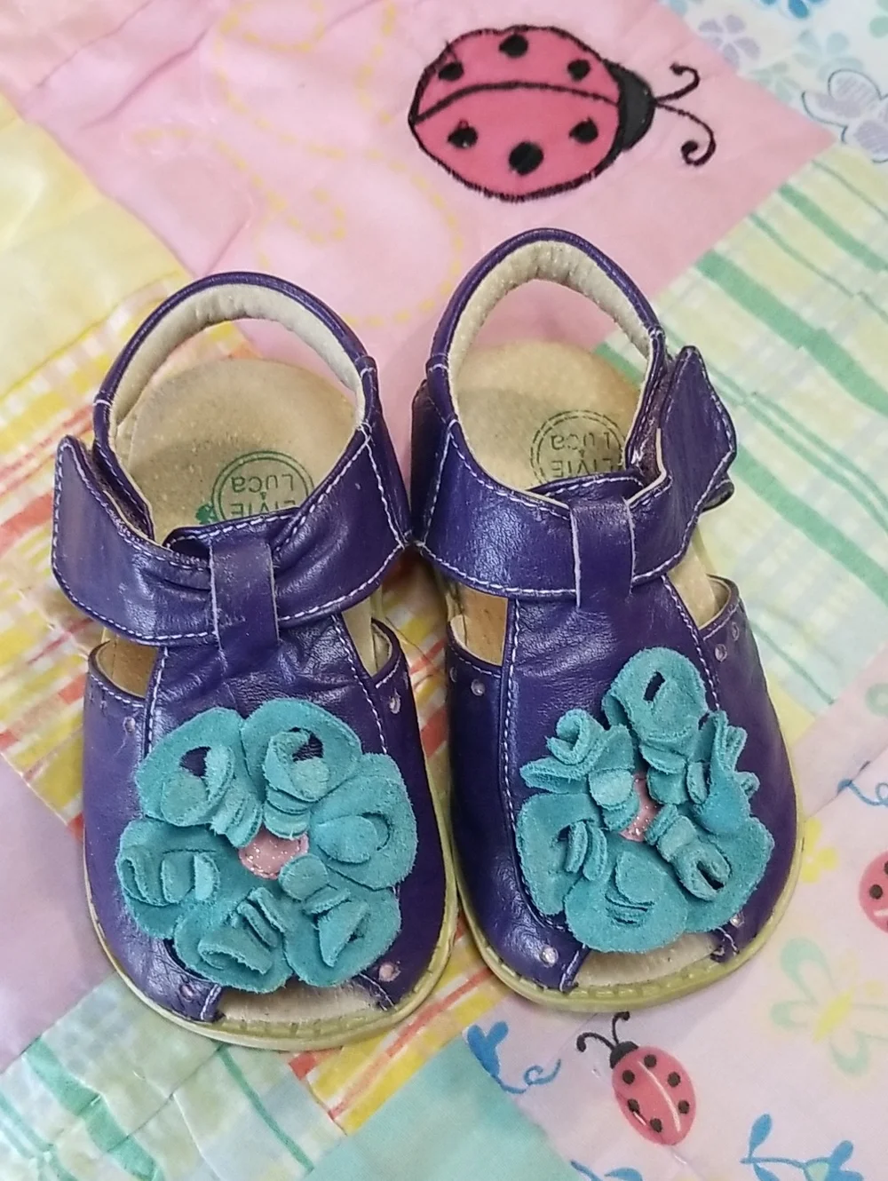 Livie & Luca bright purple