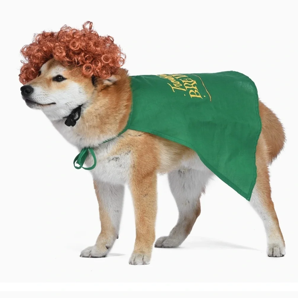 NWT Winifred Halloween Dog Costume
