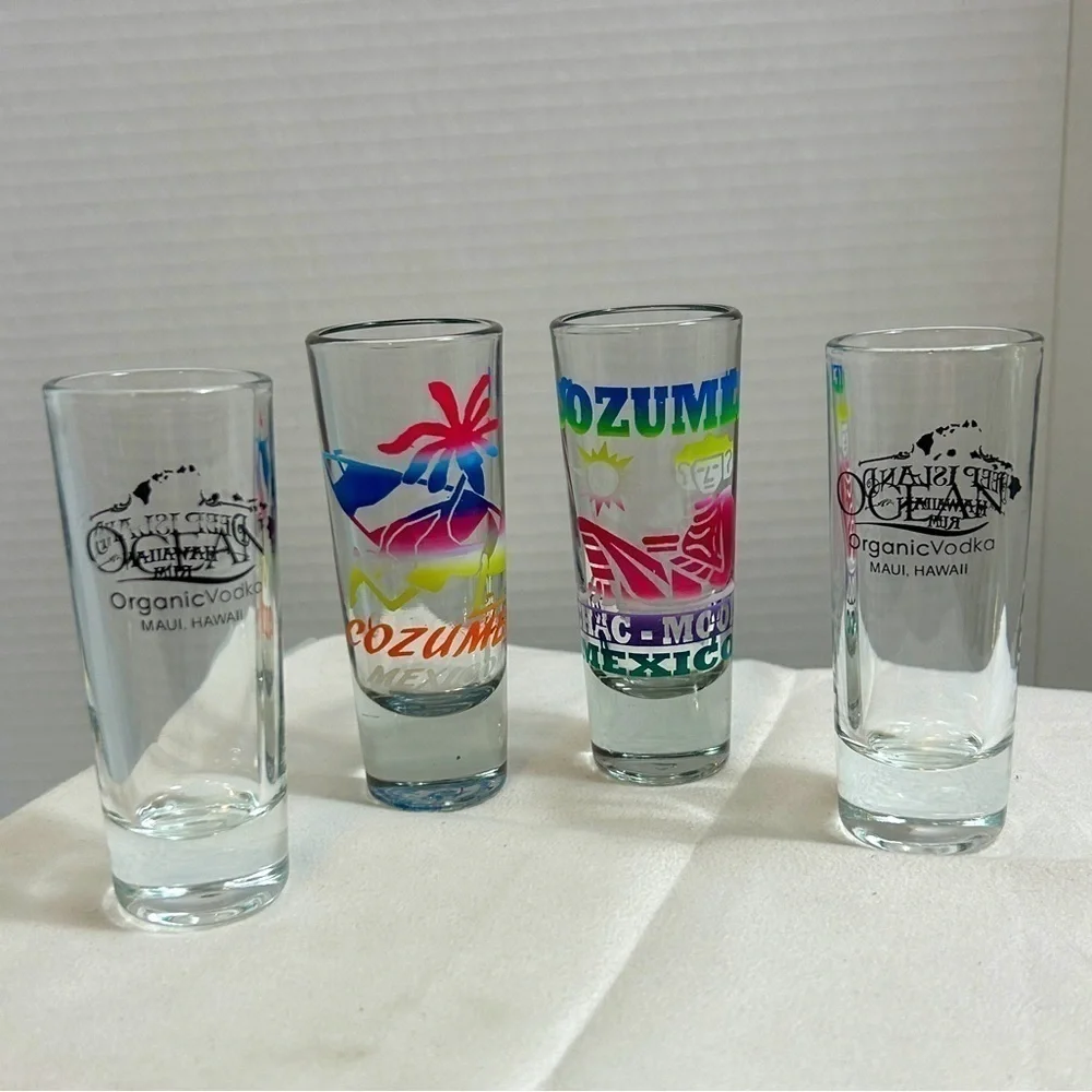 Shot Glass Lot of 4 Cozumel & Maui 4”H
