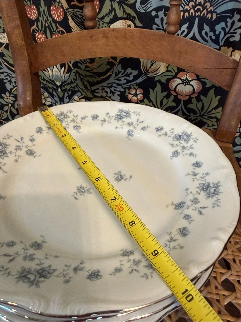 Johann Haviland explore vintage set