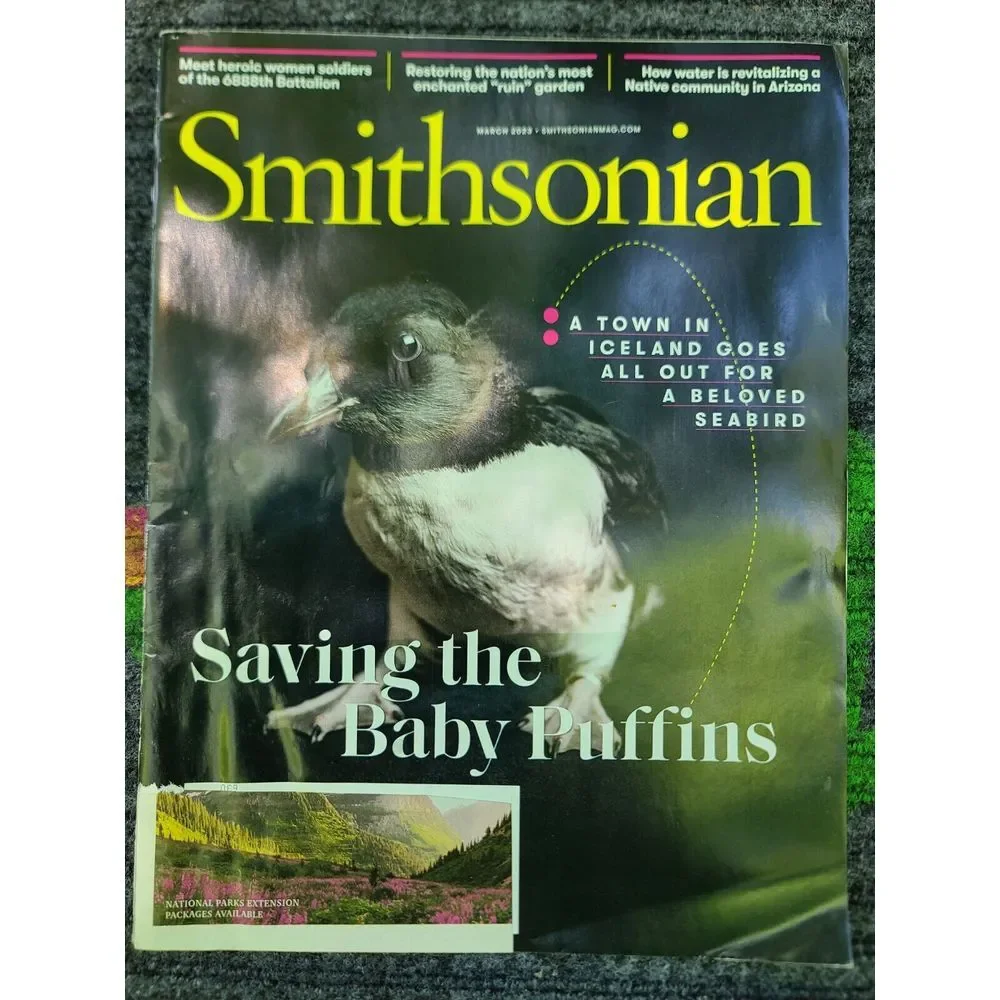 Smithsonian intended puffins