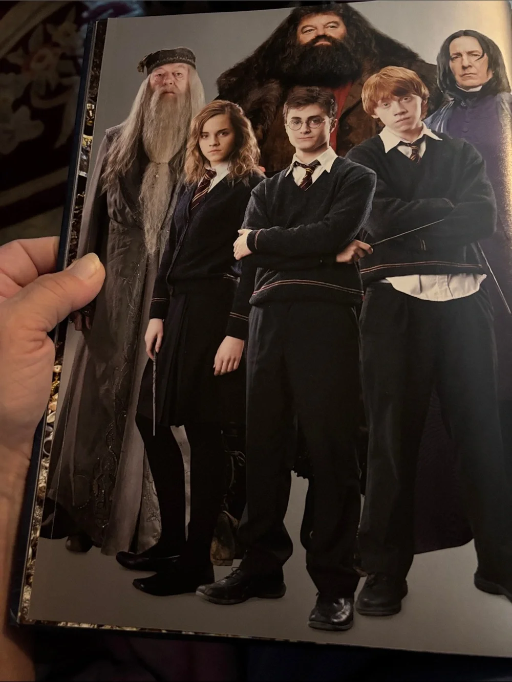 Wizarding World Of Harry Potter premium harry
