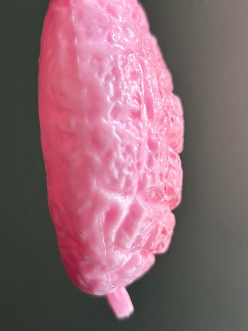 N/A nwot squishy