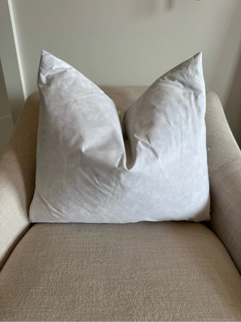 Down pillow insert