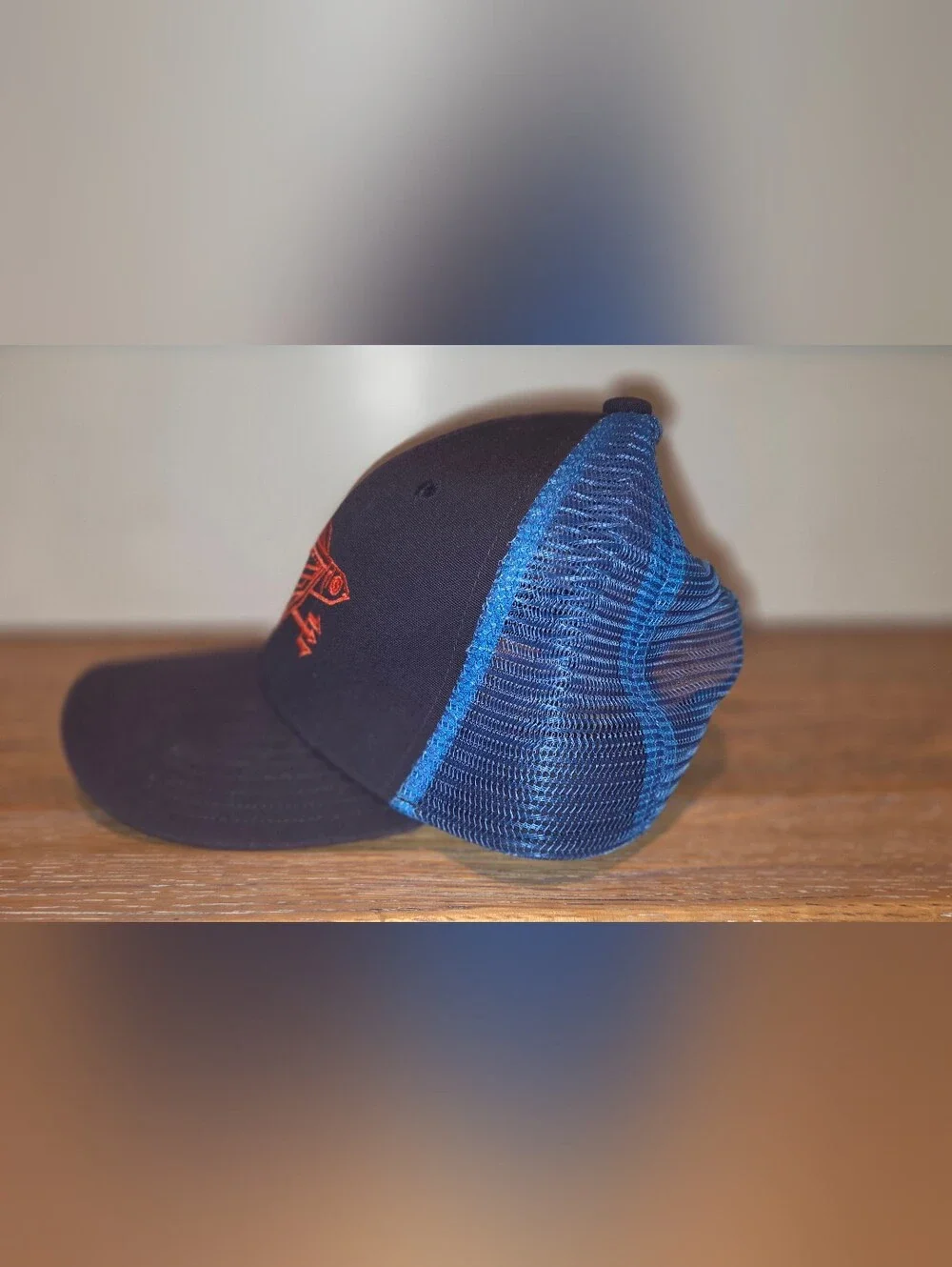 Patagonia baseball hat