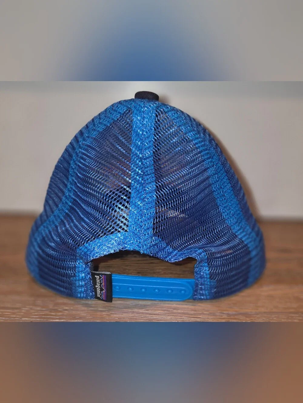 Patagonia baseball hat
