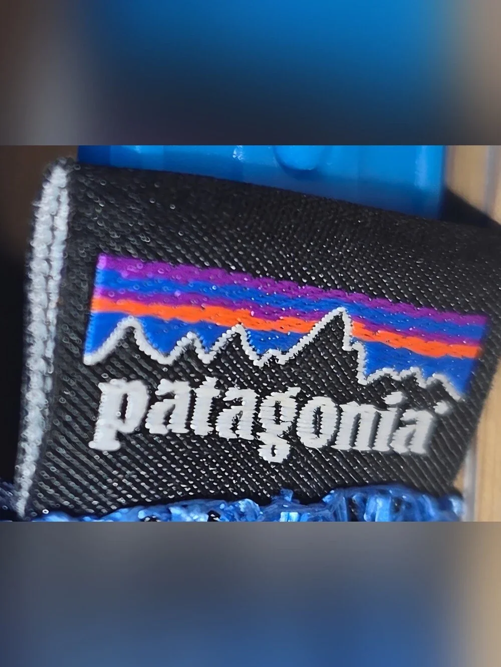 Patagonia baseball hat