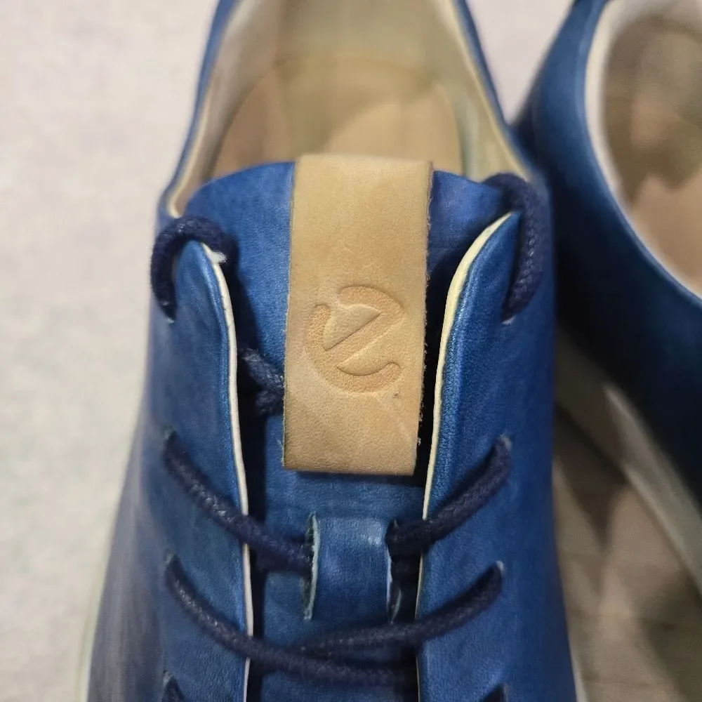 Ecco these shoes