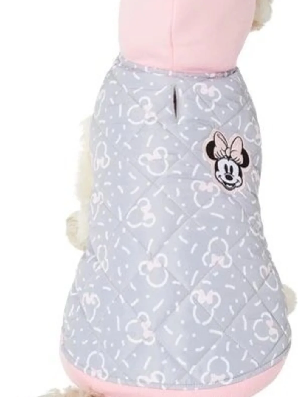 Disney official dog
