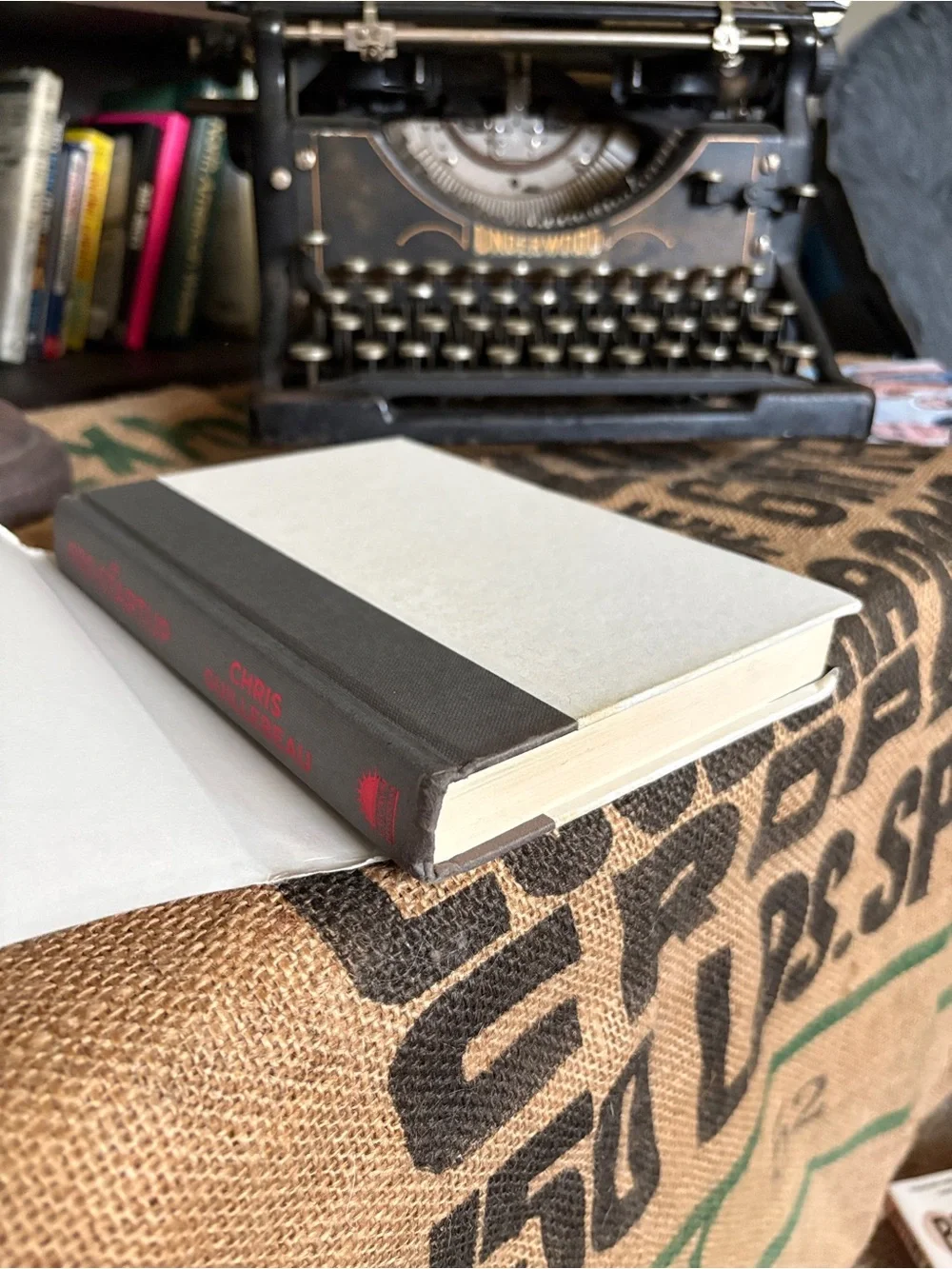 Guillebeau - “The $100 Startup” book