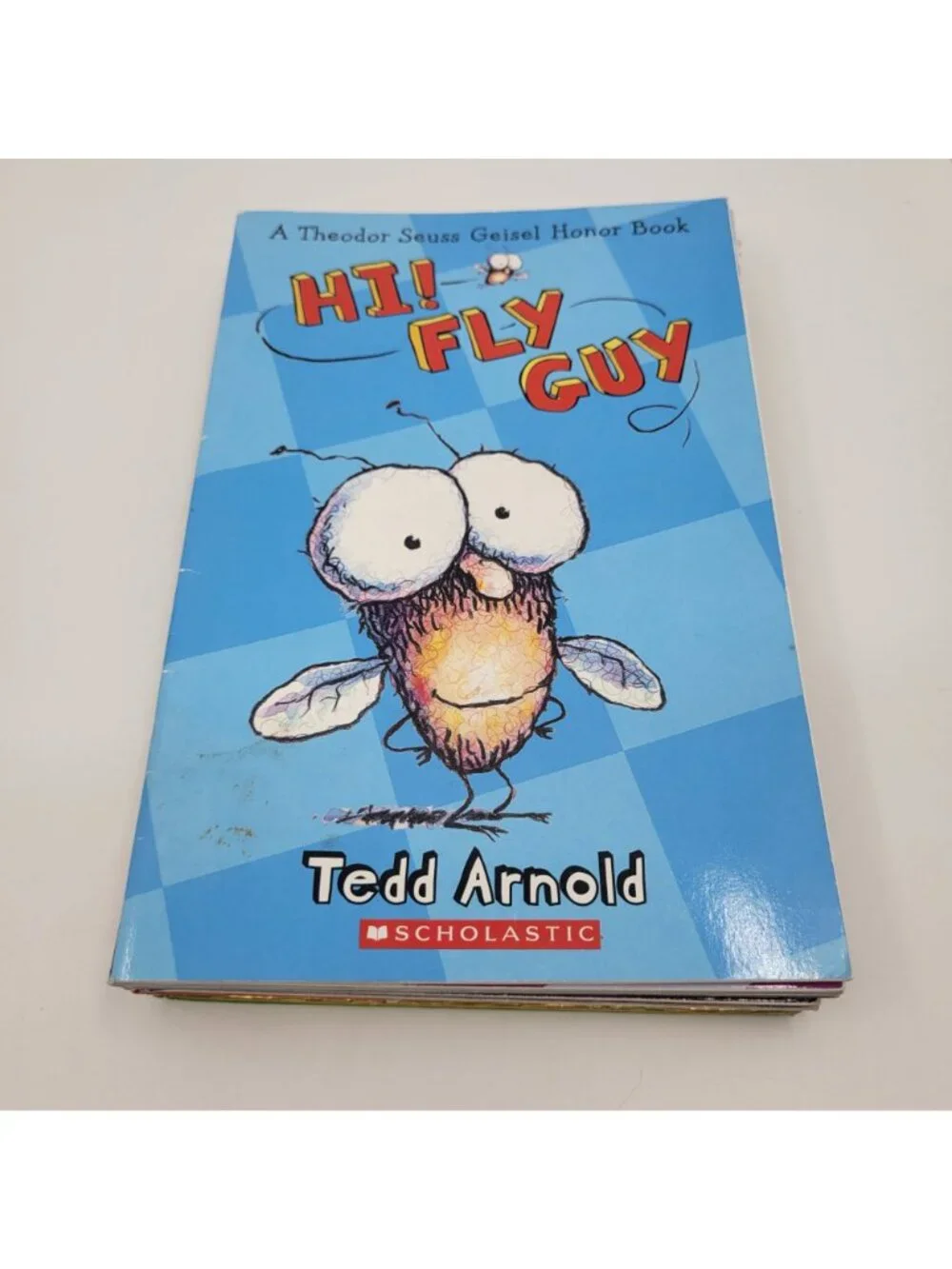 Scholastic fly guy