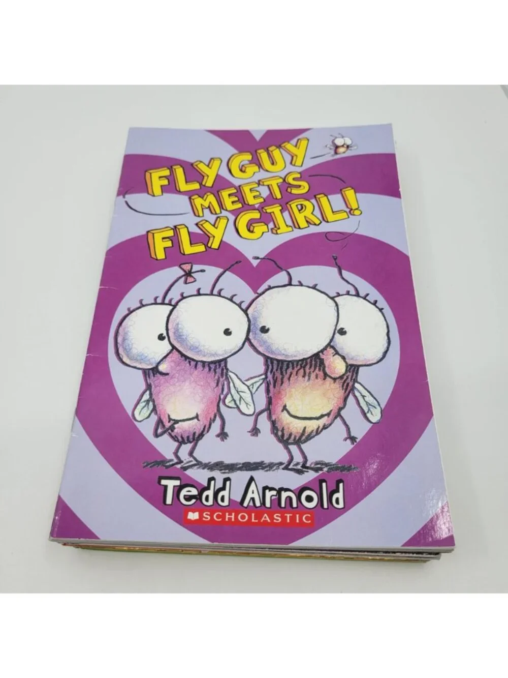 Scholastic fly guy