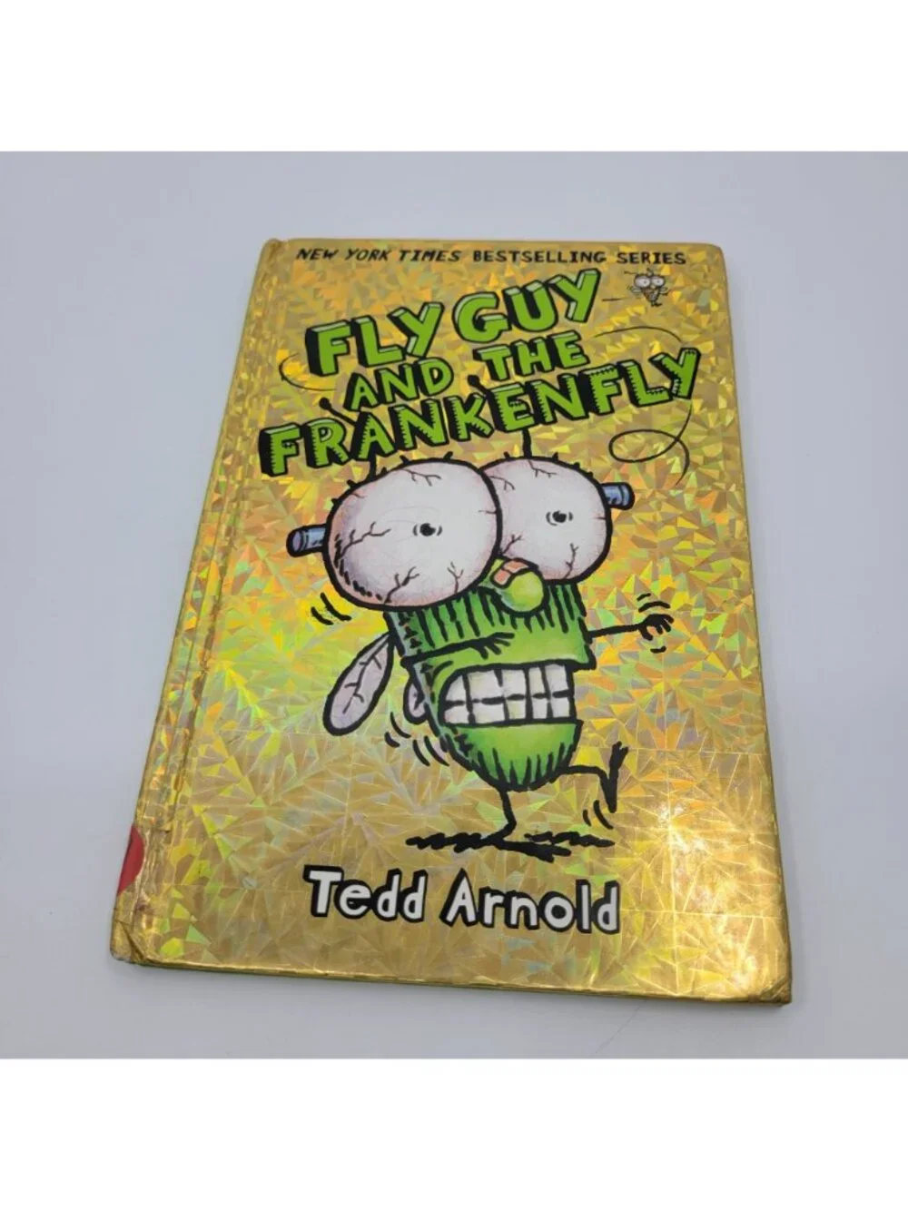 Scholastic fly guy