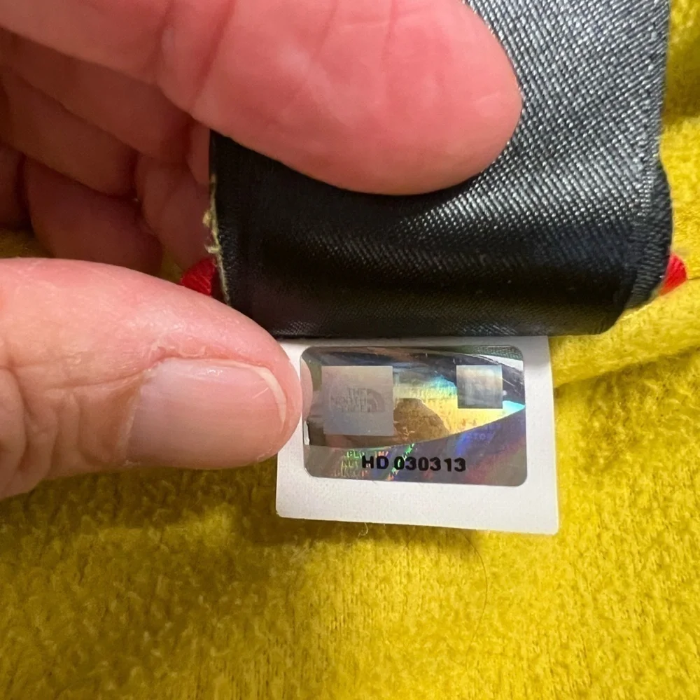 The North Face north face