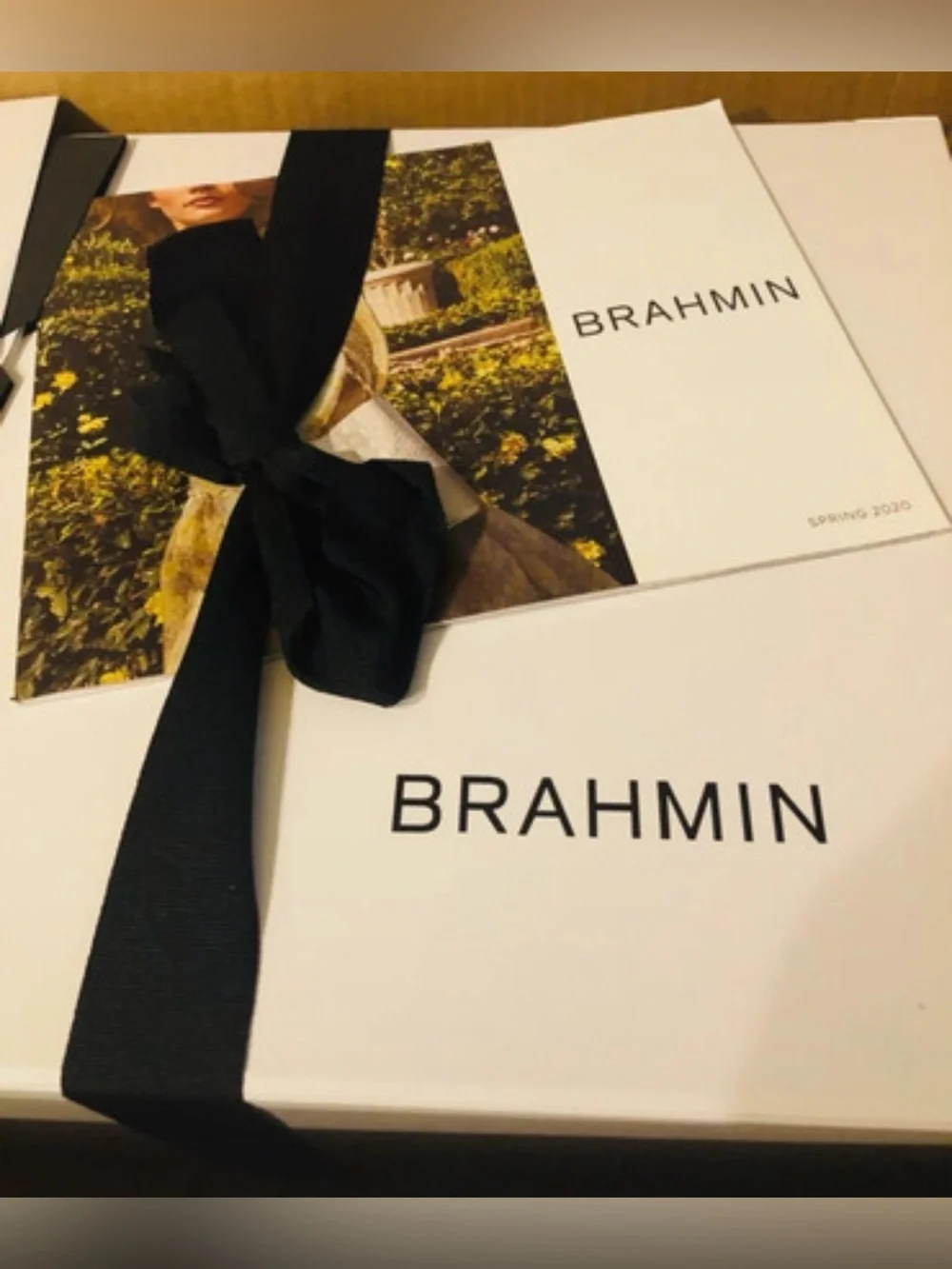 Brahmin absolutely gorgeous