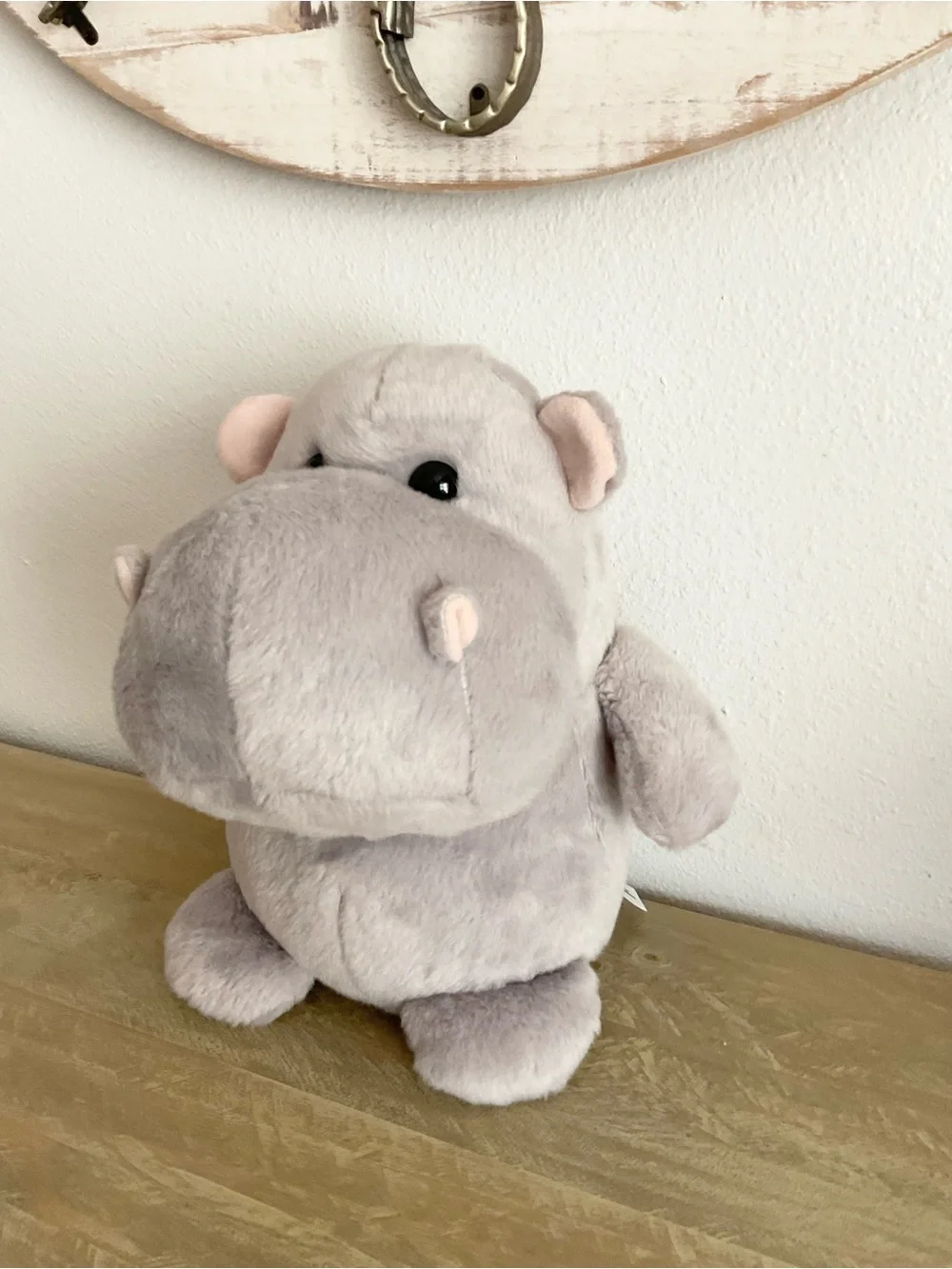 San diego Zoo collection not