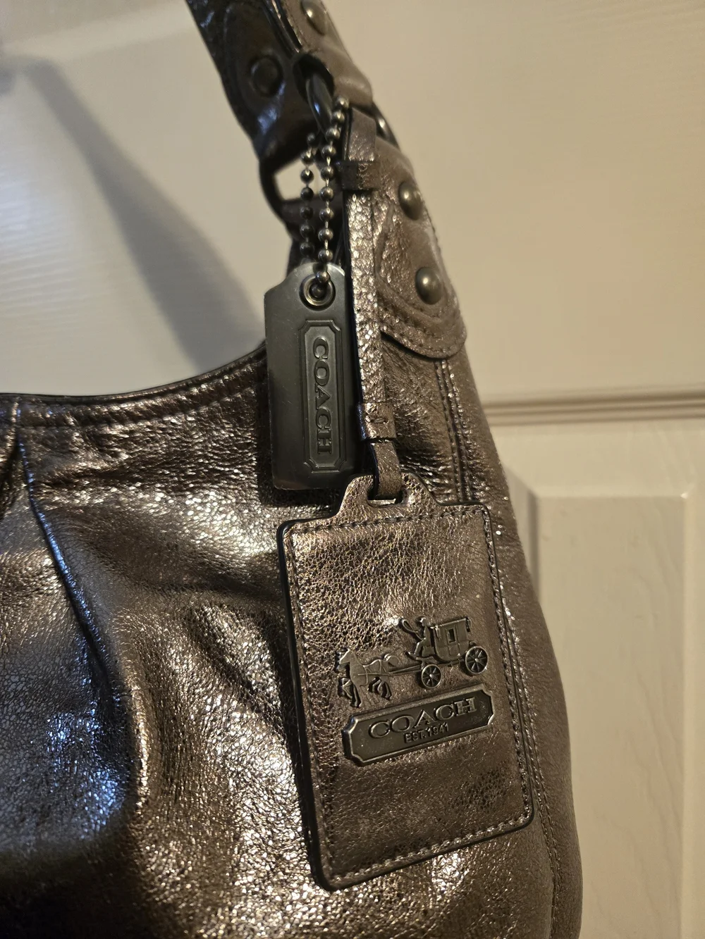 Coach bronze crackled