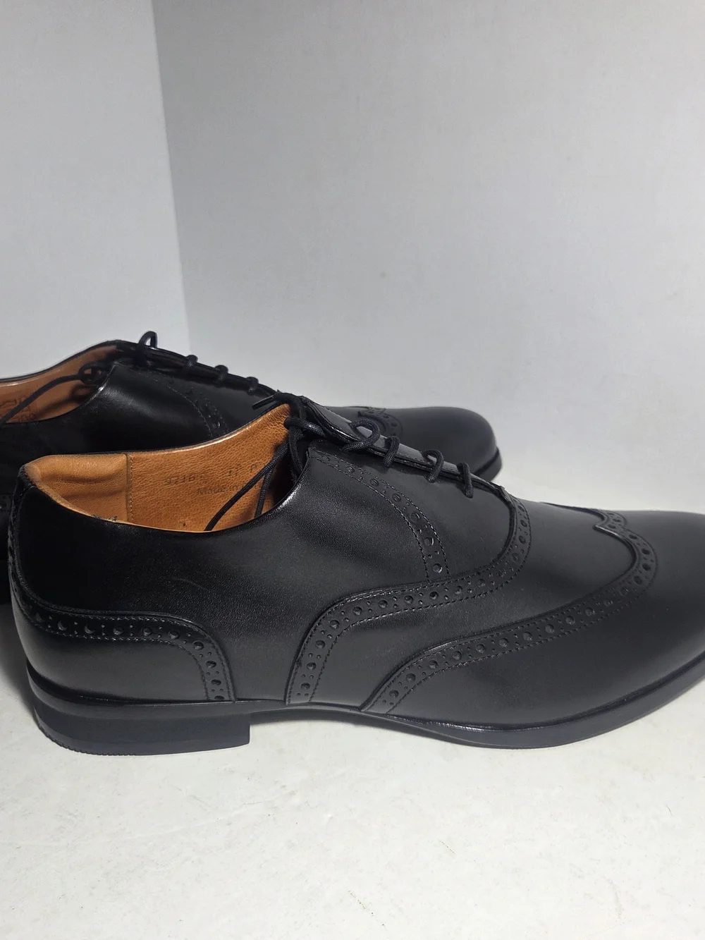 Wolf & Shepherd brand wolf
