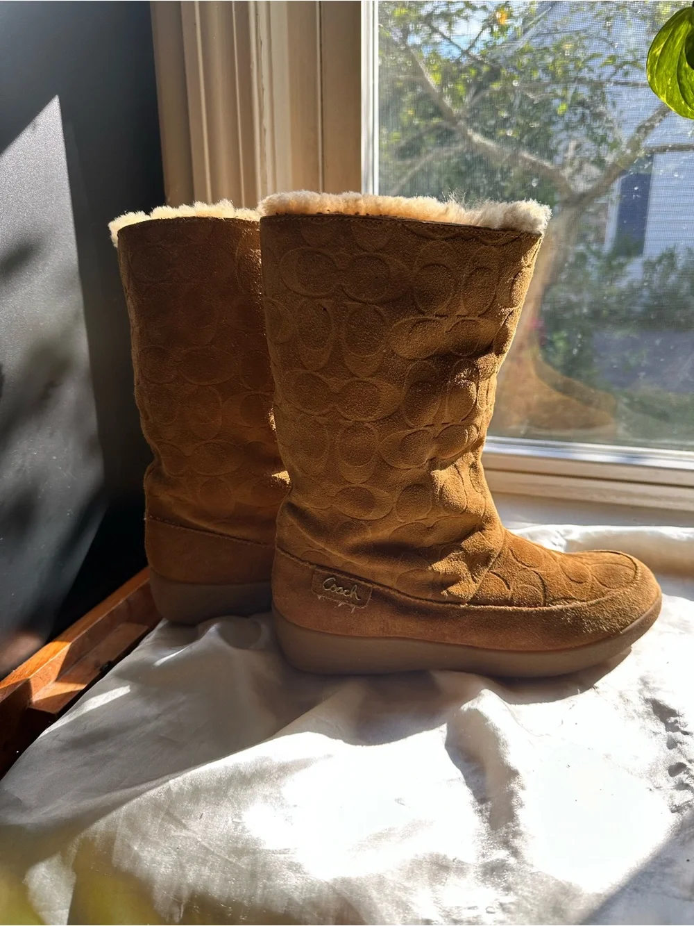 Coach these sherpa