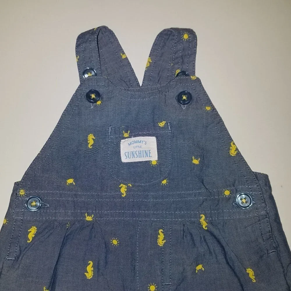 Carters seahorse baby