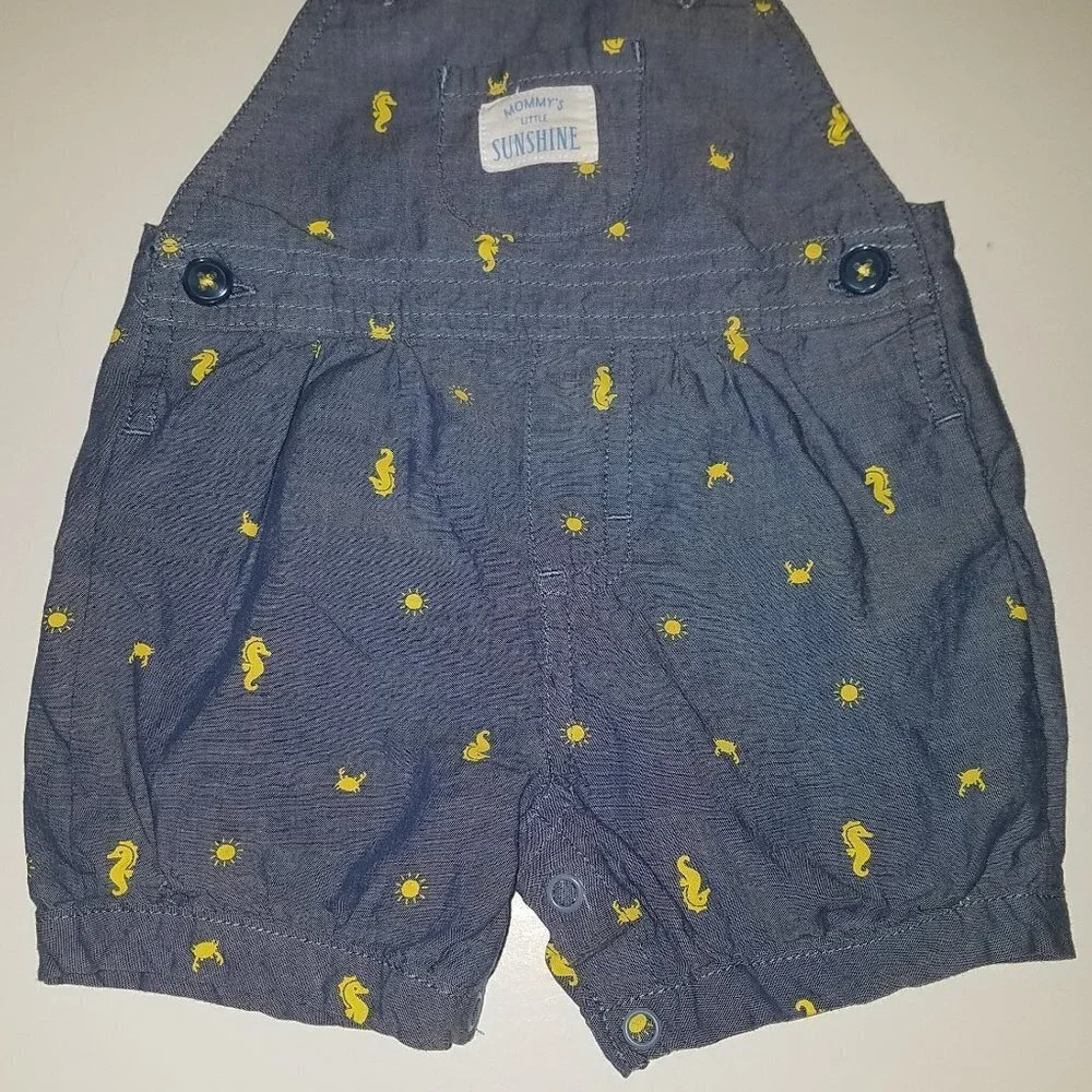 Carters seahorse baby