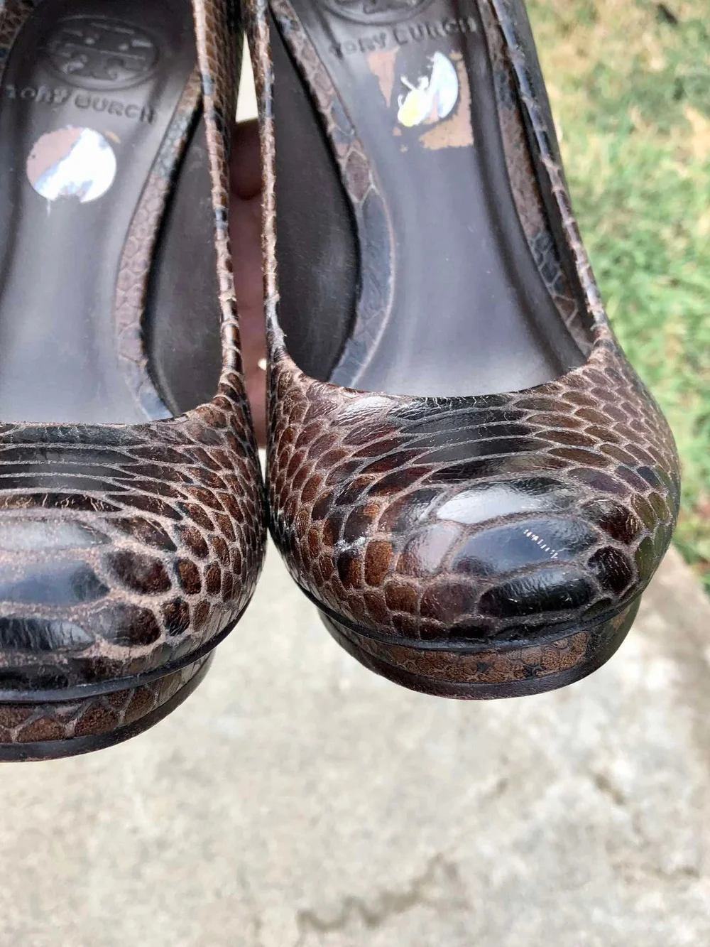 Tory Burch elegant snakeskin